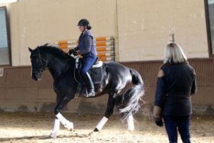 Profilbild von Anke Möller