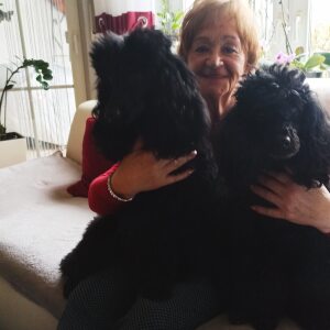 Profilbild von Anne Zangers