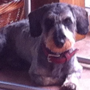 Profilbild von Annegret Baumgart