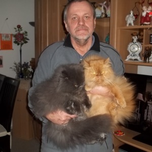 Profilbild von Armin Reich