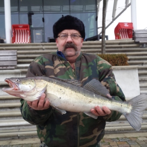 Profilbild von Arnhold Zielke