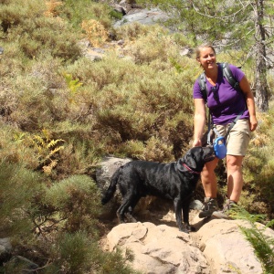 Profilbild von Bärbel Gotzoll