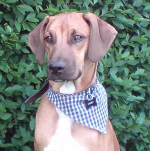 Profilbild von Barbara Buch