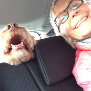Profilbild von Barbara Günther-Knox