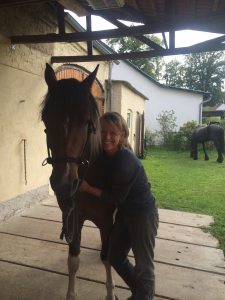 Profilbild von Barbara Korte de Brito