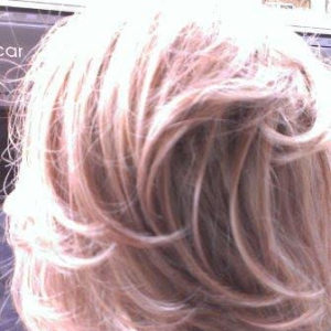 Profilbild von Barbara Meisters