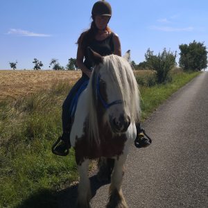 Profilbild von Barbara Schmitt