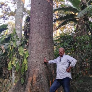 Profilbild von Barradas Almerindo