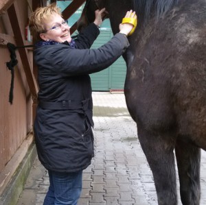 Profilbild von Beate Büttner-Kühn