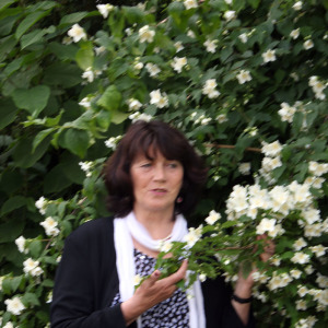 Profilbild von Beate Witt