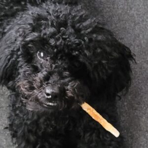 Profilbild von Beate Wittorf