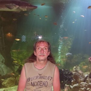 Profilbild von Bernd David