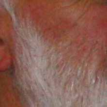 Profilbild von Bernd Dr. Schelhorn
