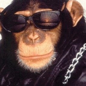 Profilbild von Bernd Fischer