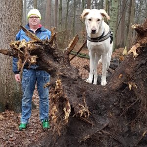 Social Media Profilbild Bernd Johannsen 