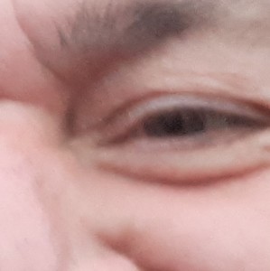 Profilbild von Bernd Schreiterer