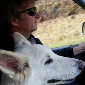 Profilbild von Bernd Westermann