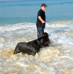 Profilbild von Bernd Wissemann