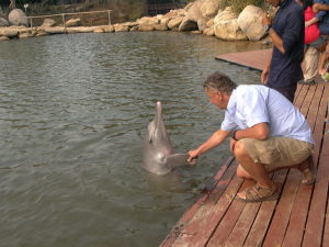 Profilbild von Bernhard Naujoks