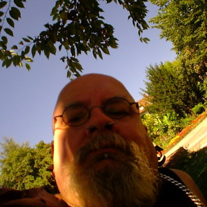 Profilbild von Bernhard Niebler