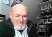 Profilbild von Bernhard Nienstedt