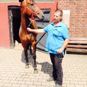 Profilbild von Bernhard Schwaak