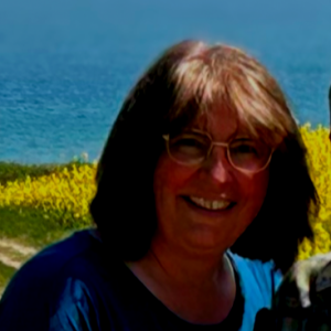 Profilbild von Beryl Galle