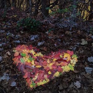 Profilbild von Birgit Gatz