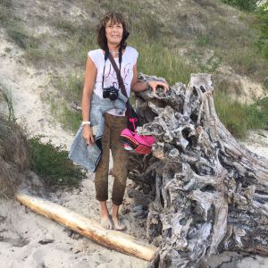 Profilbild von Birgit Gessner