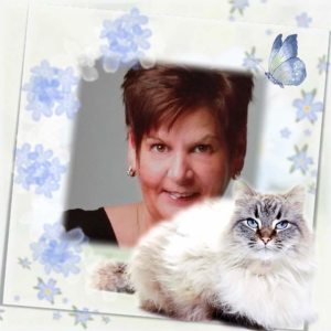 Profilbild von Birgit Gorke