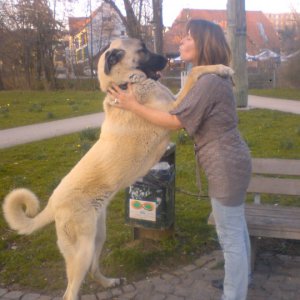 Profilbild von Birgit Selim