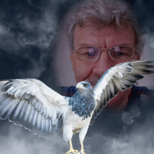 Profilbild von Bodo Piesker