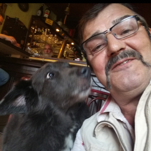 Profilbild von Bodo Schubert