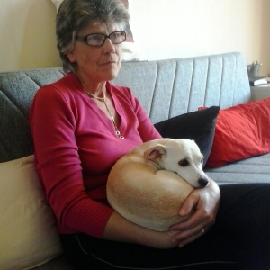 Profilbild von Brigitte Haupt