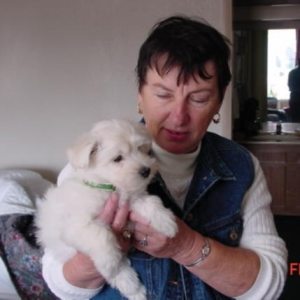 Profilbild von Brigitte Knopfel