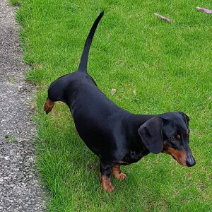 Profilbild von Brigitte Nolte