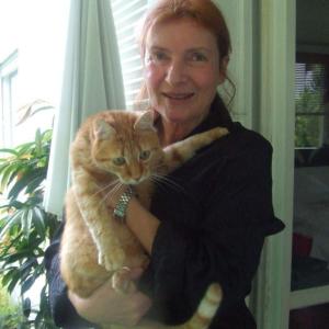 Profilbild von Brigitte Orsini