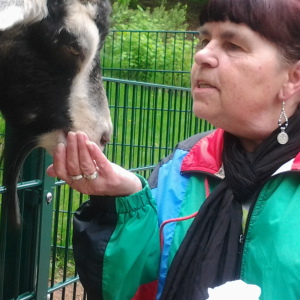 Profilbild von Brigitte Sarow