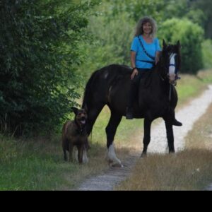 Profilbild von Brigitte Schmidt