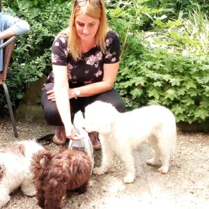Profilbild von Britta Guhl