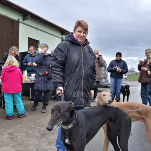Profilbild von Britta Gunkel