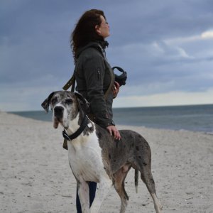Profilbild von Britta Welz