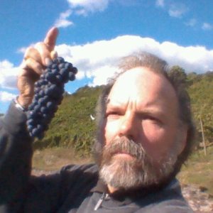 Profilbild von Bruno Schötz