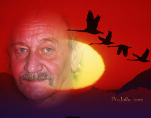 Profilbild von Bubi Stecher