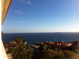 Profilbild von Carmen Kügler