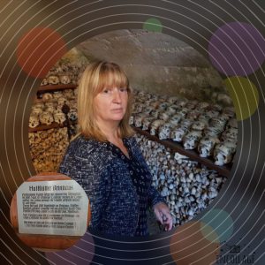 Profilbild von Carola Mittelstädt