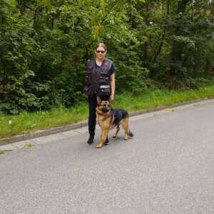 Profilbild von Caroline Beisbier