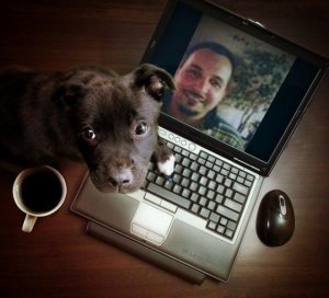 Profilbild von Carsten Ott