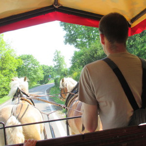 Profilbild von Carsten Schnelle