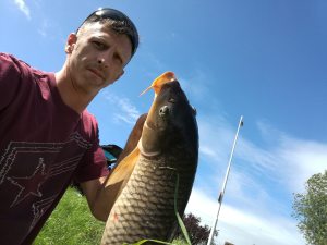 Profilbild von Carsten Thoma